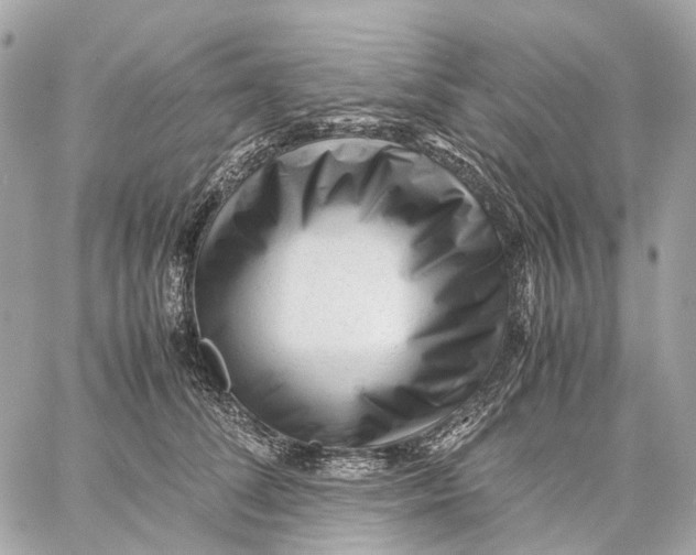 X0000059250708200511041334