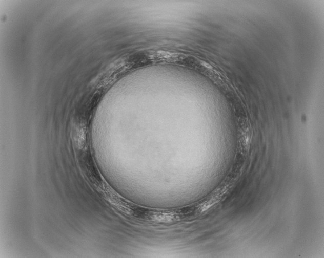 X0000059250709200511041334