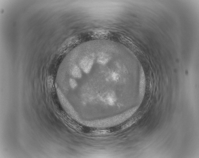 X0000059250711200511041334