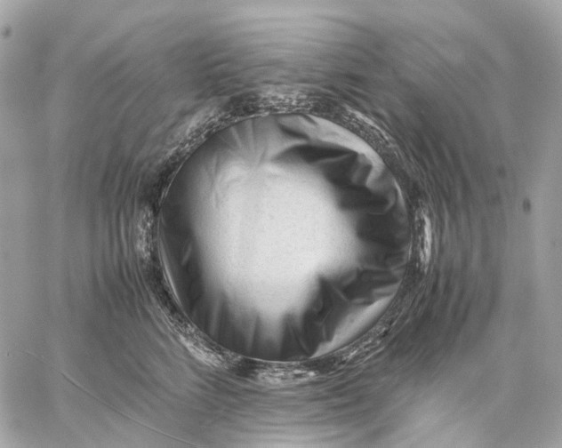 X0000059250712200511041334