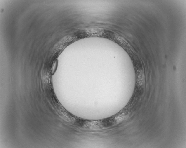 X0000059250713200511041334