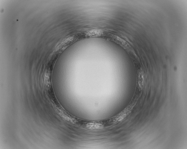 X0000059250714200511041334