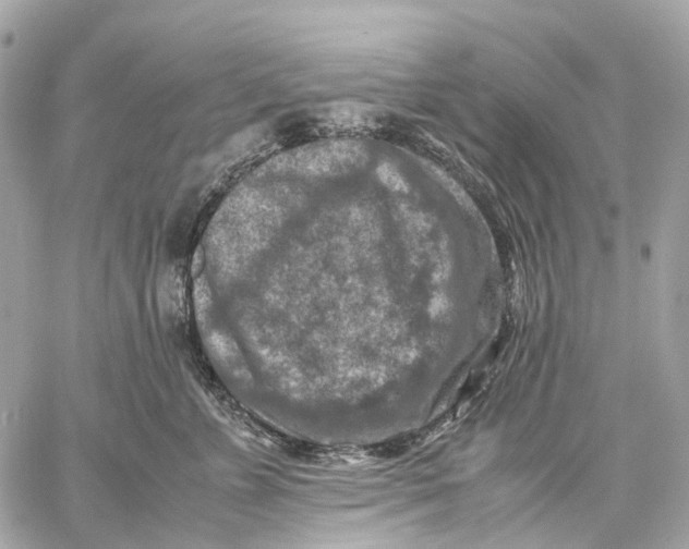 X0000059250715200511041334