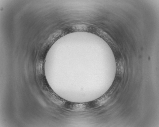 X0000059250717200511041334