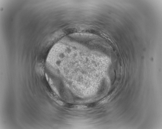 X0000059250719200511041334