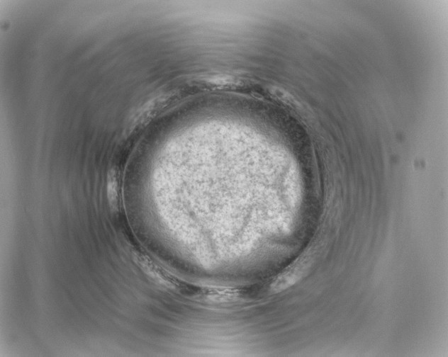 X0000059250720200511041334