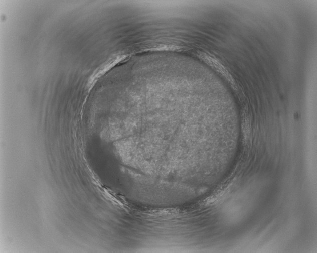 X0000059250721200511041333