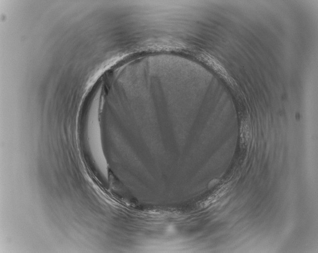 X0000059250722200511041333