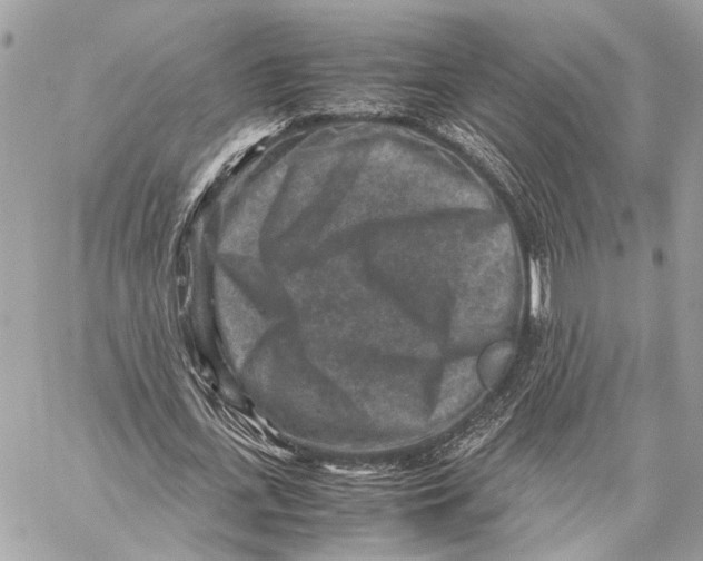 X0000059250723200511041333