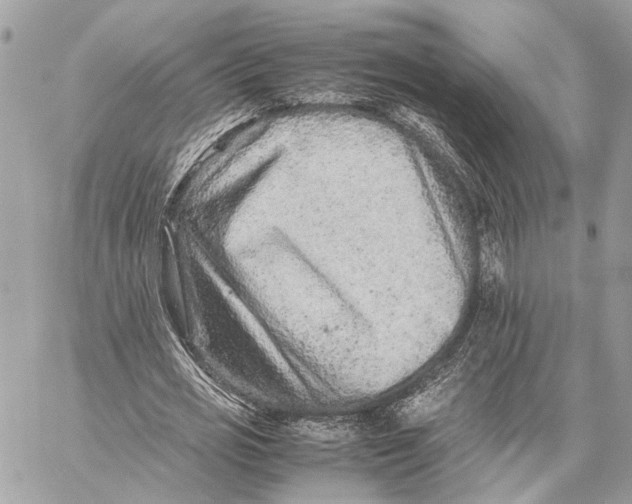 X0000059250725200511041333