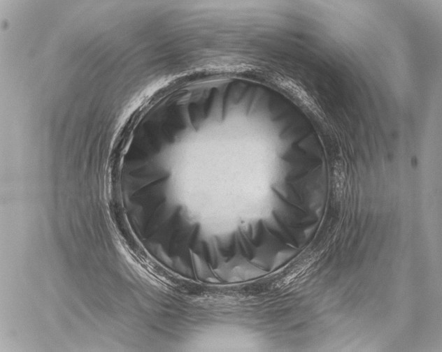 X0000059250726200511041333