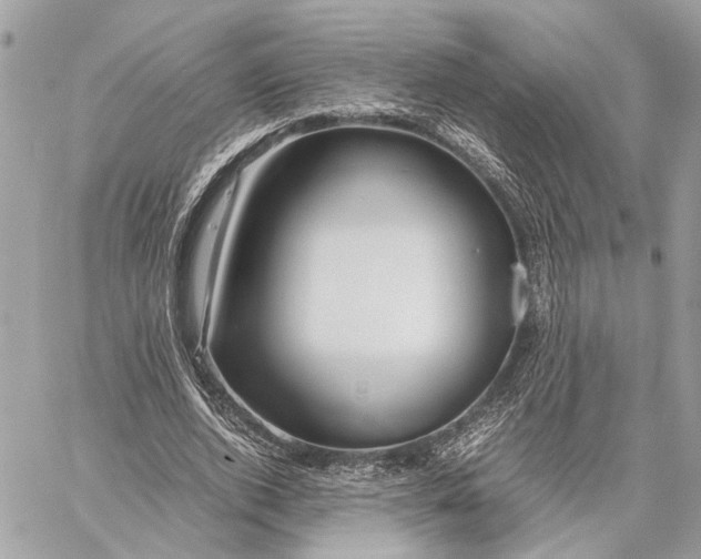 X0000059250728200511041333