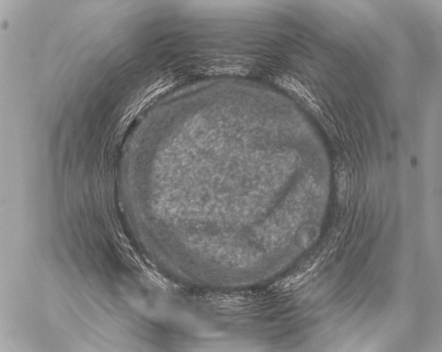 X0000059250729200511041333