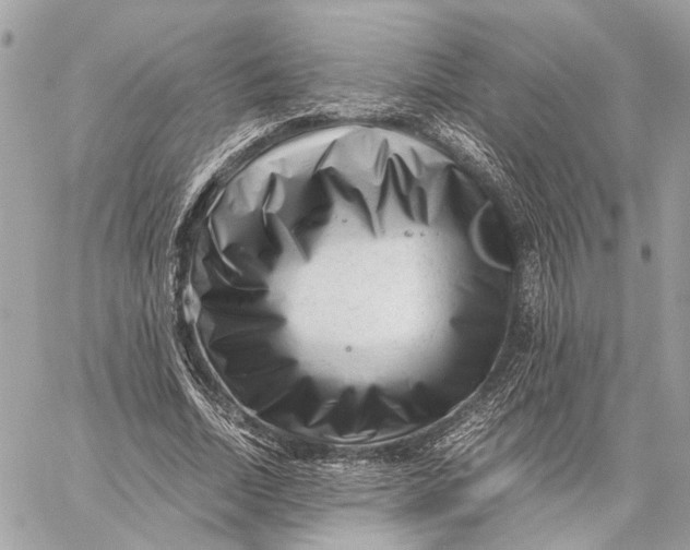 X0000059250730200511041333