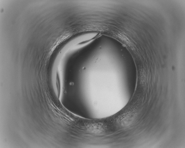 X0000059250731200511041333