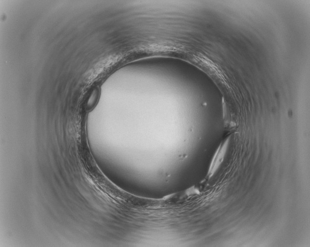 X0000059250732200511041333