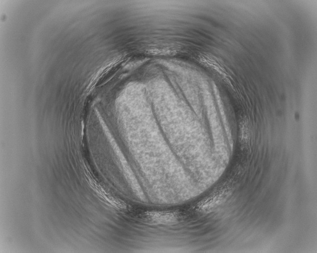 X0000059250733200511041333