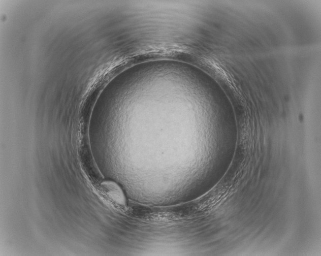 X0000059250736200511041333