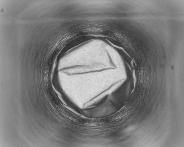 X0000059250739200511041333