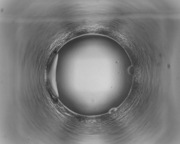 X0000059250740200511041333