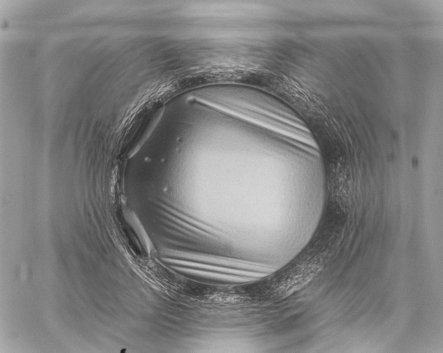 X0000059250742200511041333