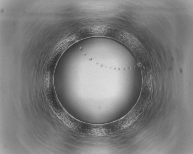 X0000059250744200511041333