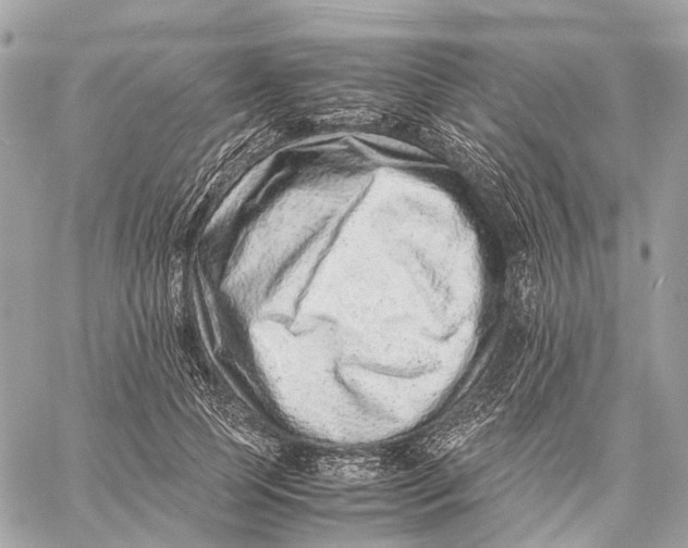 X0000059250745200511041333