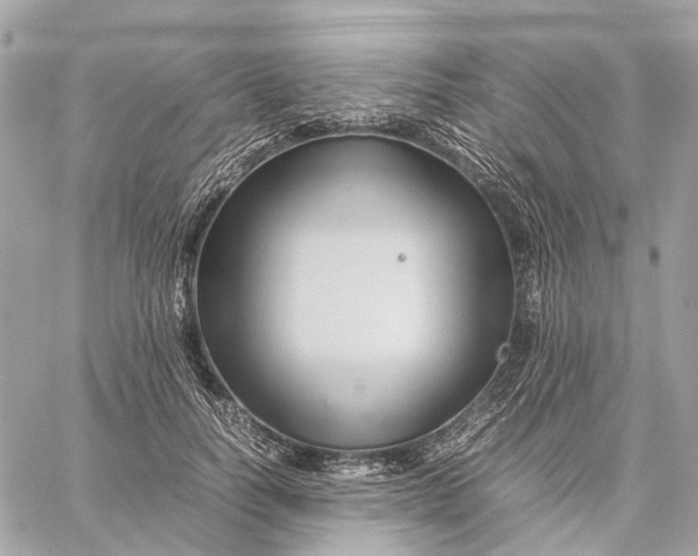 X0000059250746200511041333