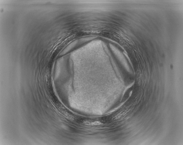 X0000059250747200511041333