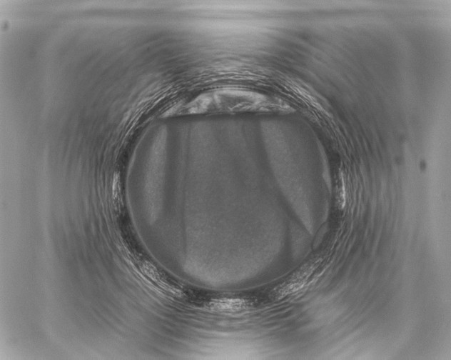 X0000059250748200511041333