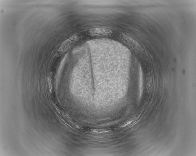 X0000059250749200511041333