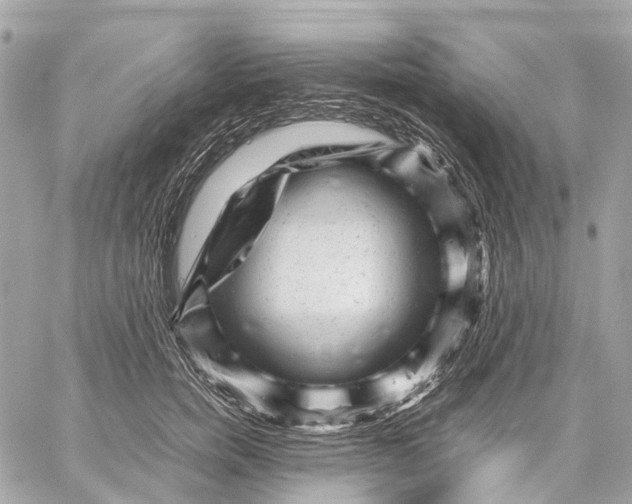 X0000059250750200511041333