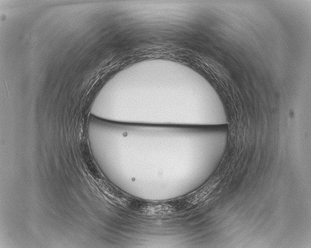 X0000059250752200511041333