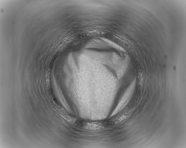 X0000059250753200511041333