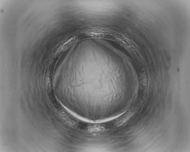 X0000059250754200511041333