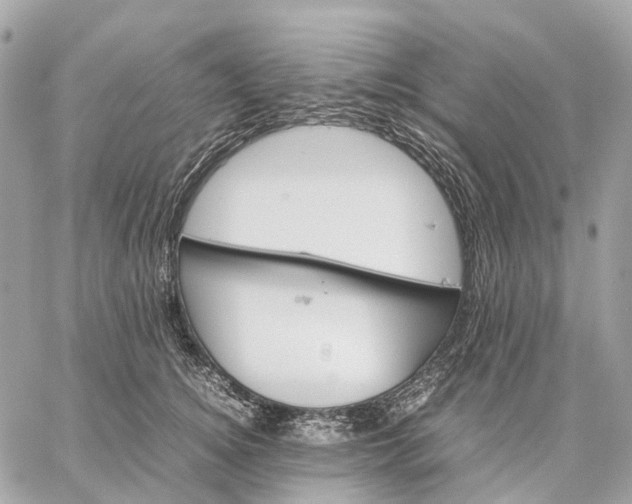 X0000059250756200511041333