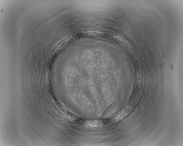 X0000059250757200511041333