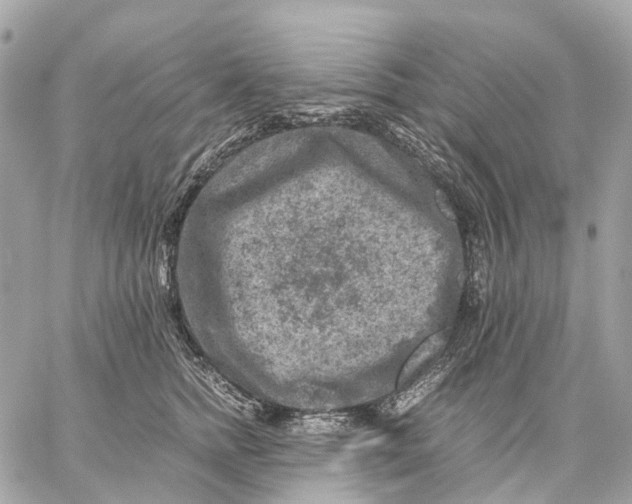 X0000059250758200511041333