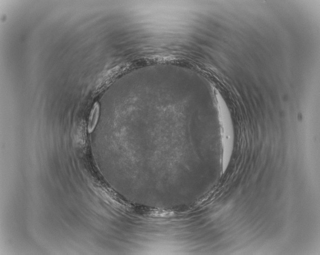 X0000059250760200511041334