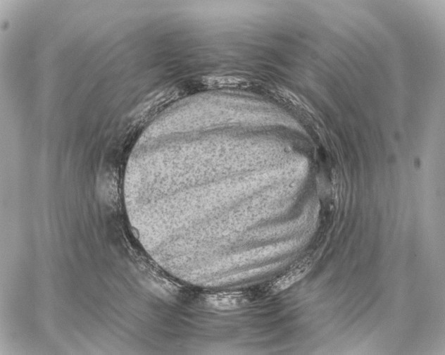 X0000059250761200511041334