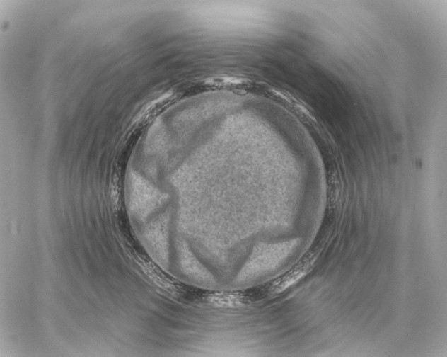 X0000059250762200511041334