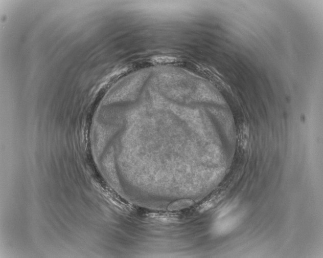 X0000059250763200511041334