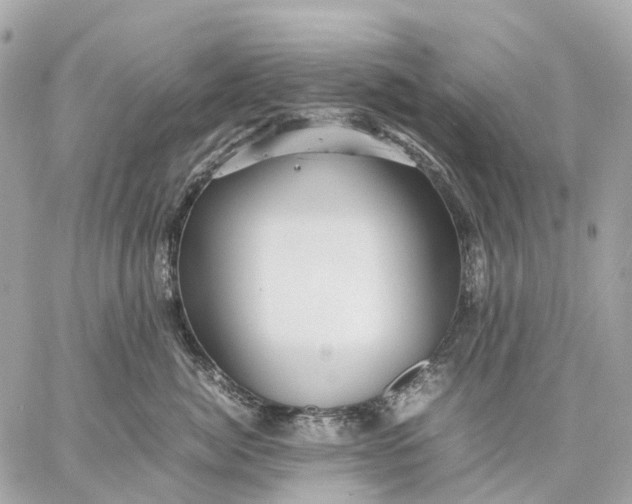 X0000059250764200511041334