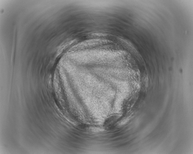 X0000059250765200511041334