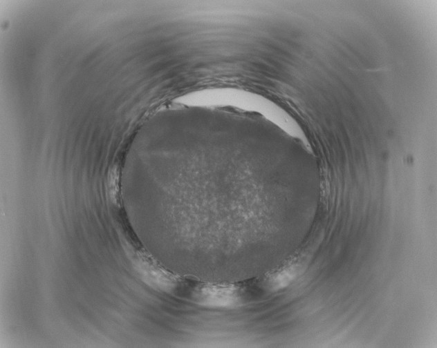 X0000059250767200511041334