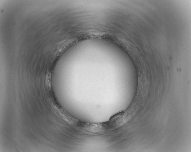 X0000059250768200511041334