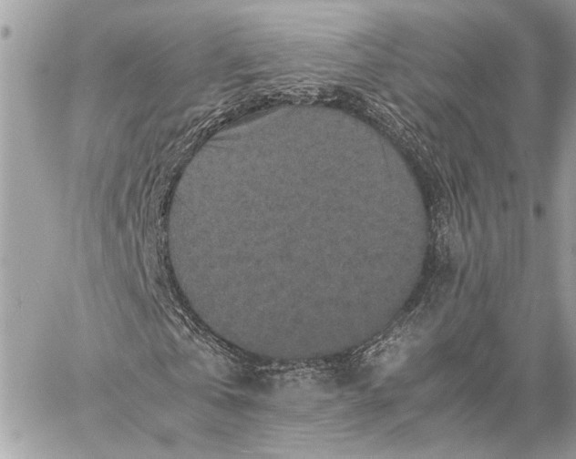 X0000059250769200511041333