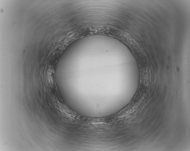 X0000059250770200511041333