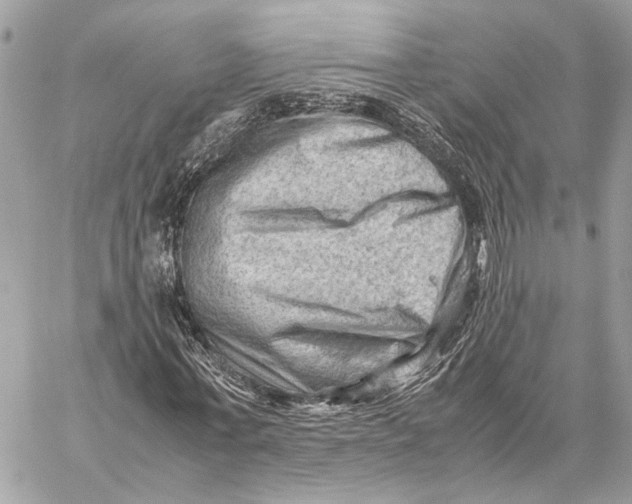 X0000059250771200511041333