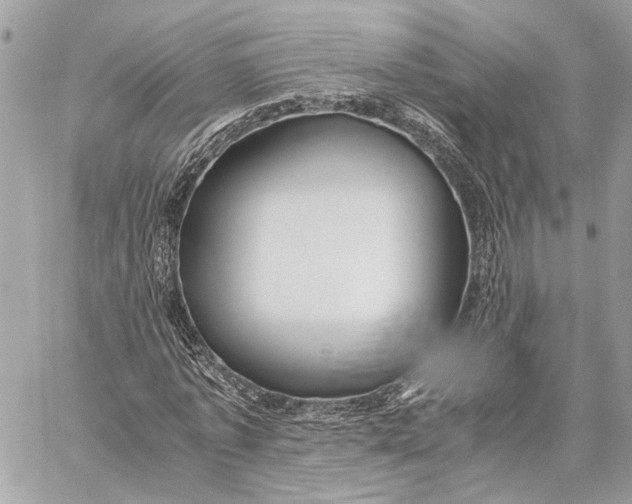 X0000059250773200511041333